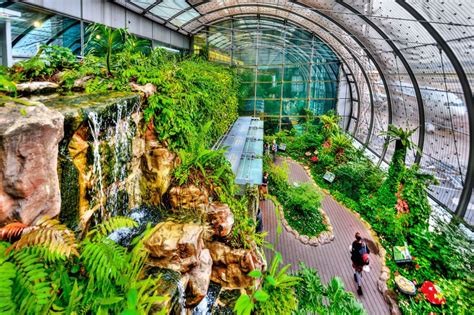 singapore changi airport butterfly garden